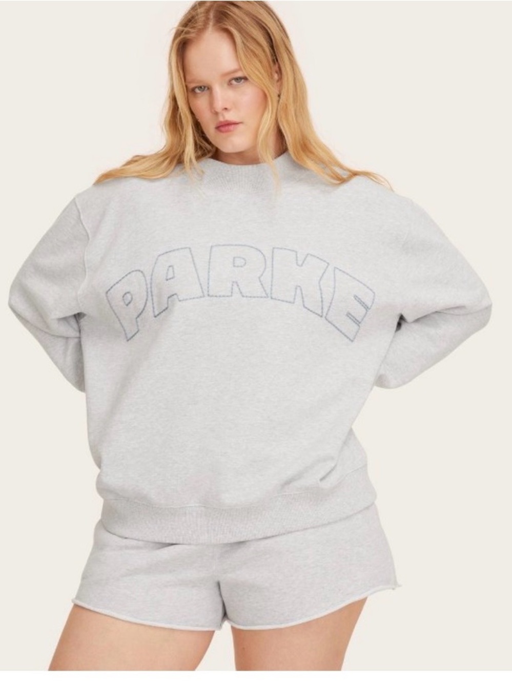 Parke x Target Mockneck Pullover Gray Sz S/M